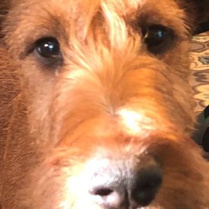 Meet your Posher, Stacey